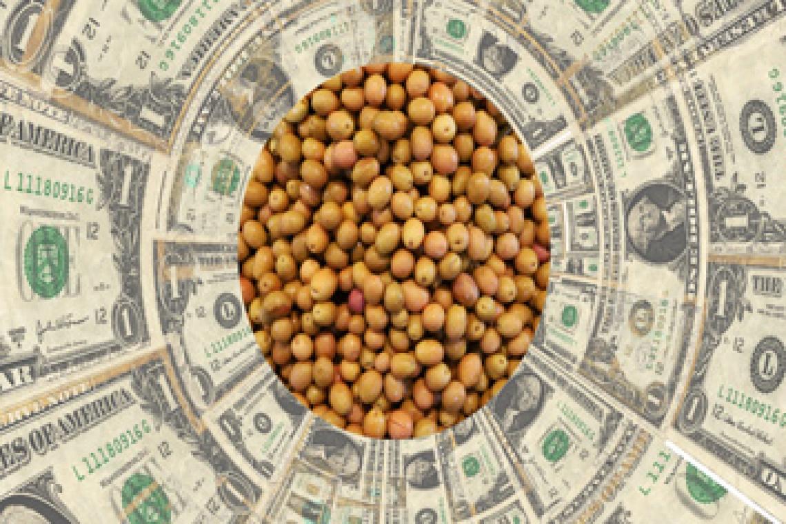 Las operaciones en el marco del nuevo "dólar soja" superaron las 2,6 millones de toneladas