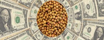 Las operaciones en el marco del nuevo "dólar soja" superaron las 2,6 millones de toneladas