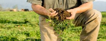 Agricultura familiar es estratégica para el continente, coinciden ministros de las Américas