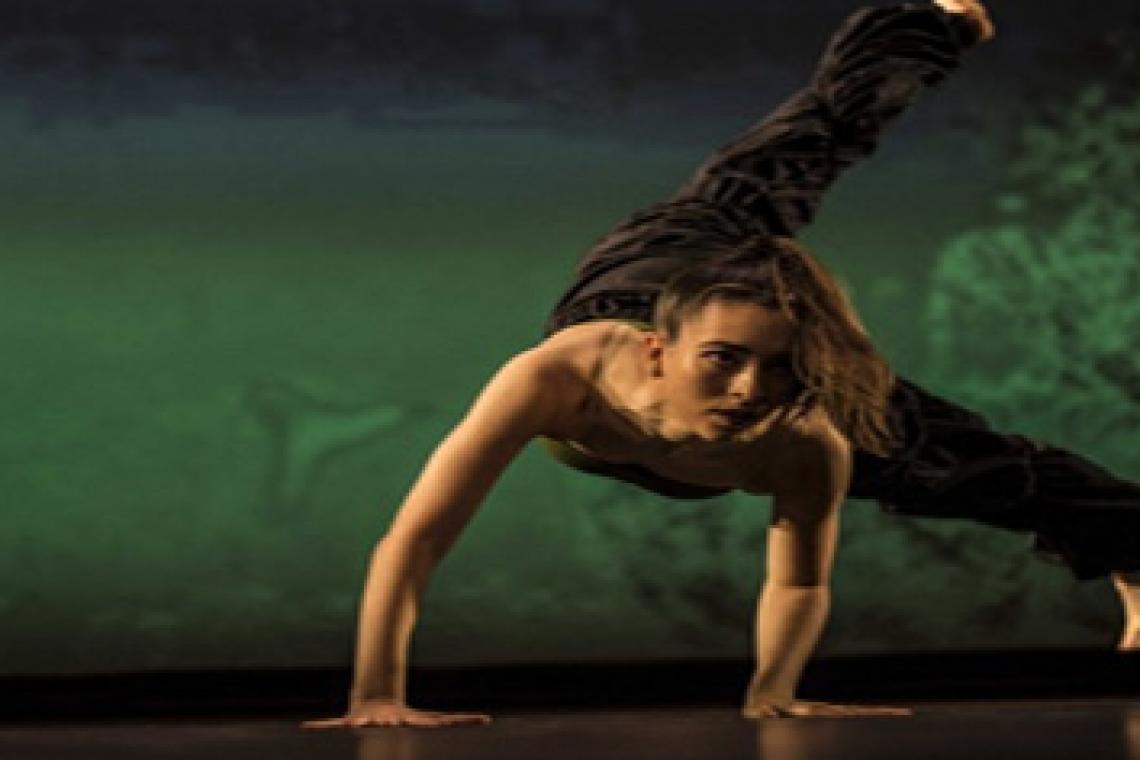 Comienza la 22° edición del Festival Internacional El Cruce