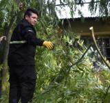 La Municipalidad realiza trabajos luego de la tormenta mientras continúa el alerta por vientos fuertes