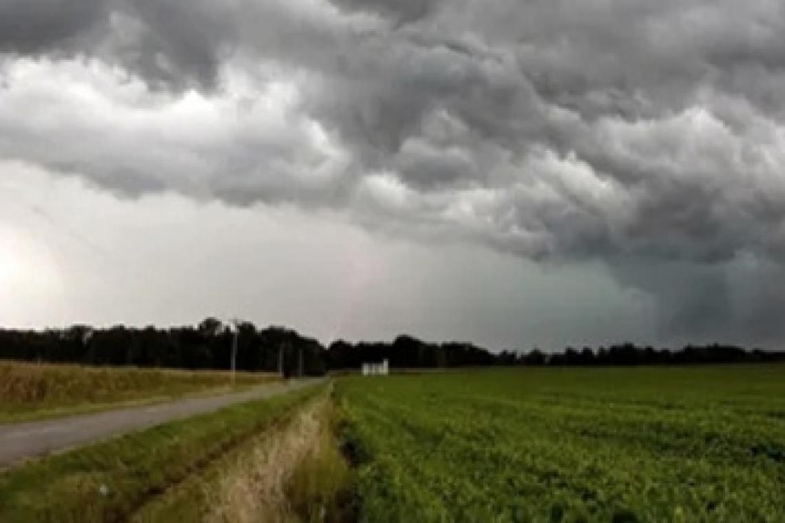 La lluvia trajo calma y optimismo en los productores de los principales cultivos del país