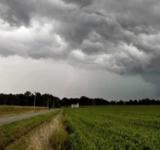 La lluvia trajo calma y optimismo en los productores de los principales cultivos del país