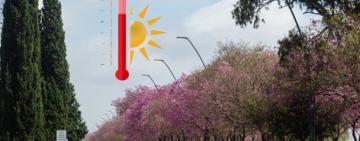 Al horno: alerta por olas de calor "extremo" para el verano en la Argentina