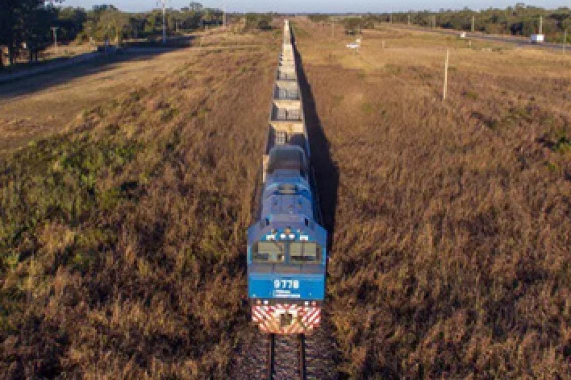 "Open access": el modelo que propone el nuevo gobierno para la carga ferroviaria