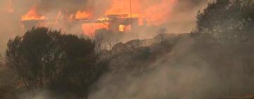 Aumenta a 112 el número de muertos por los incendios forestales en Chile