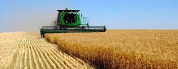 La agroindustria generó el 55% de las exportaciones argentinas en 2023