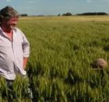 Provincia entregó créditos por más de $ 6 mil millones para activar la producción en Santa Fe