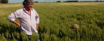 Provincia entregó créditos por más de $ 6 mil millones para activar la producción en Santa Fe