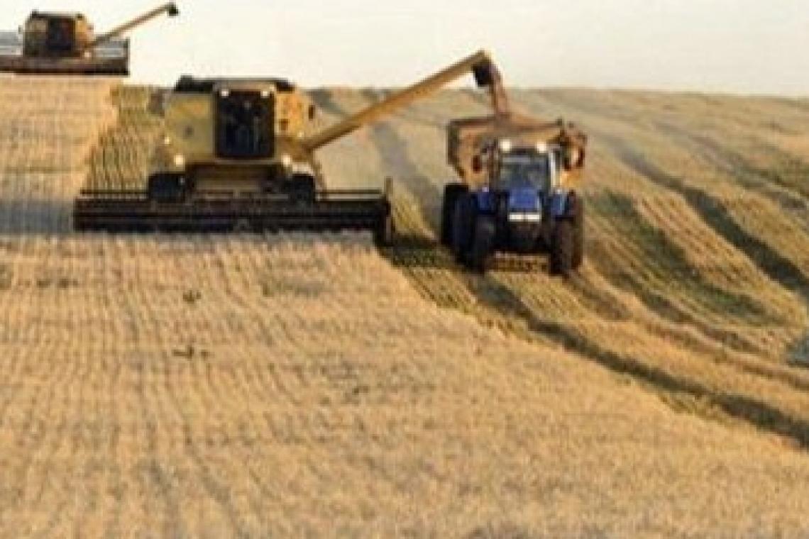 Buenas perspectivas climáticas para la cosecha