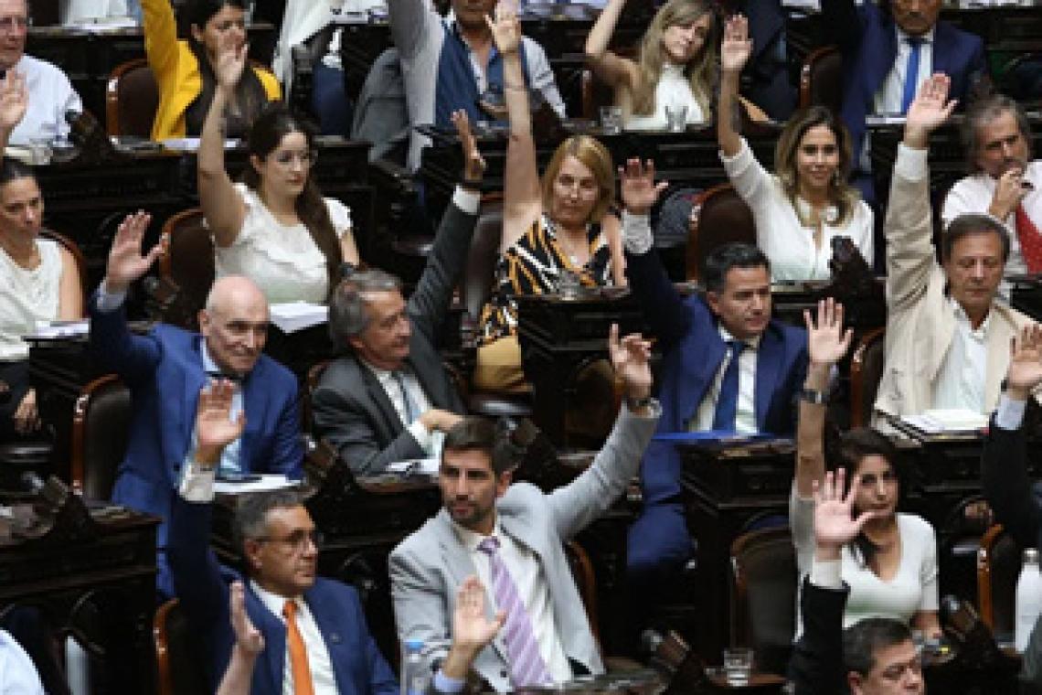 La Cámara de Diputados aprobó la ley de Bases en general y se apresta a su votación en particular