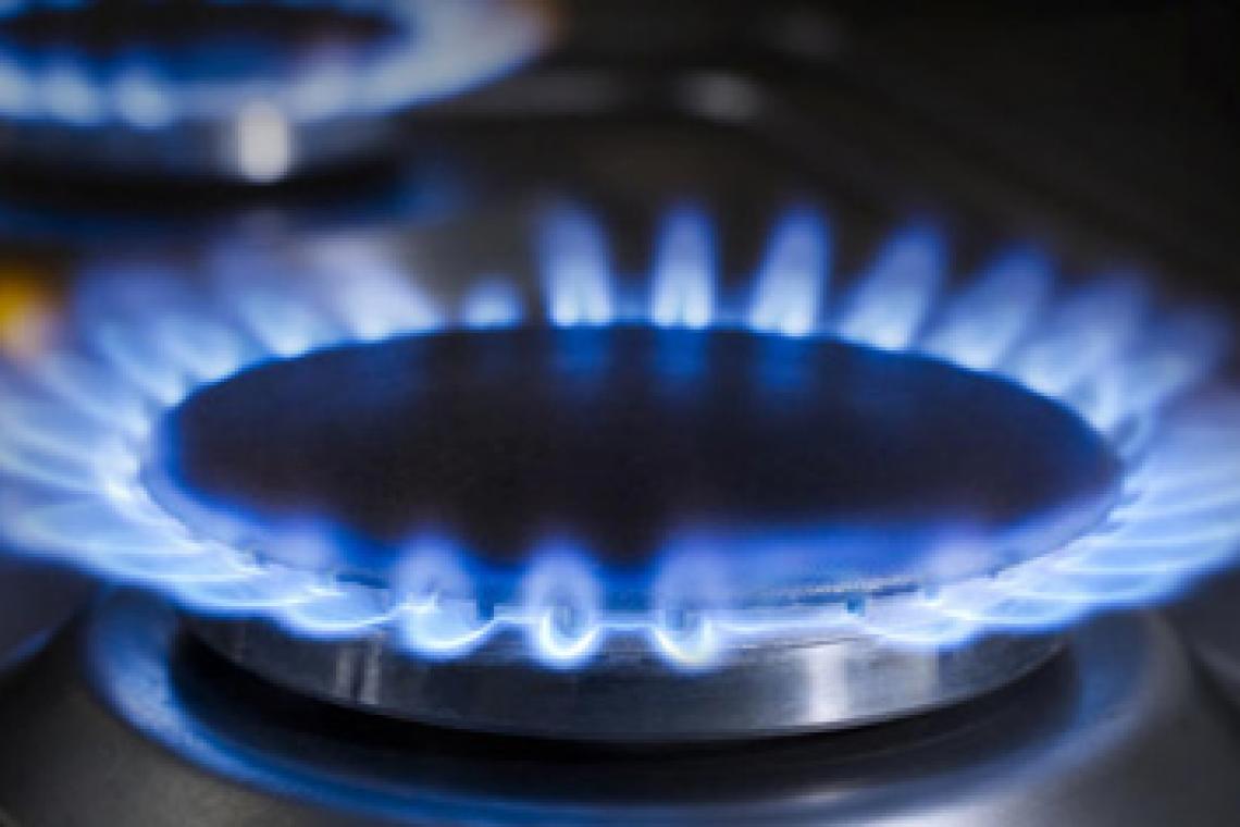 Atraso en obras y un invierno anticipado, las causas de una nueva crisis energética