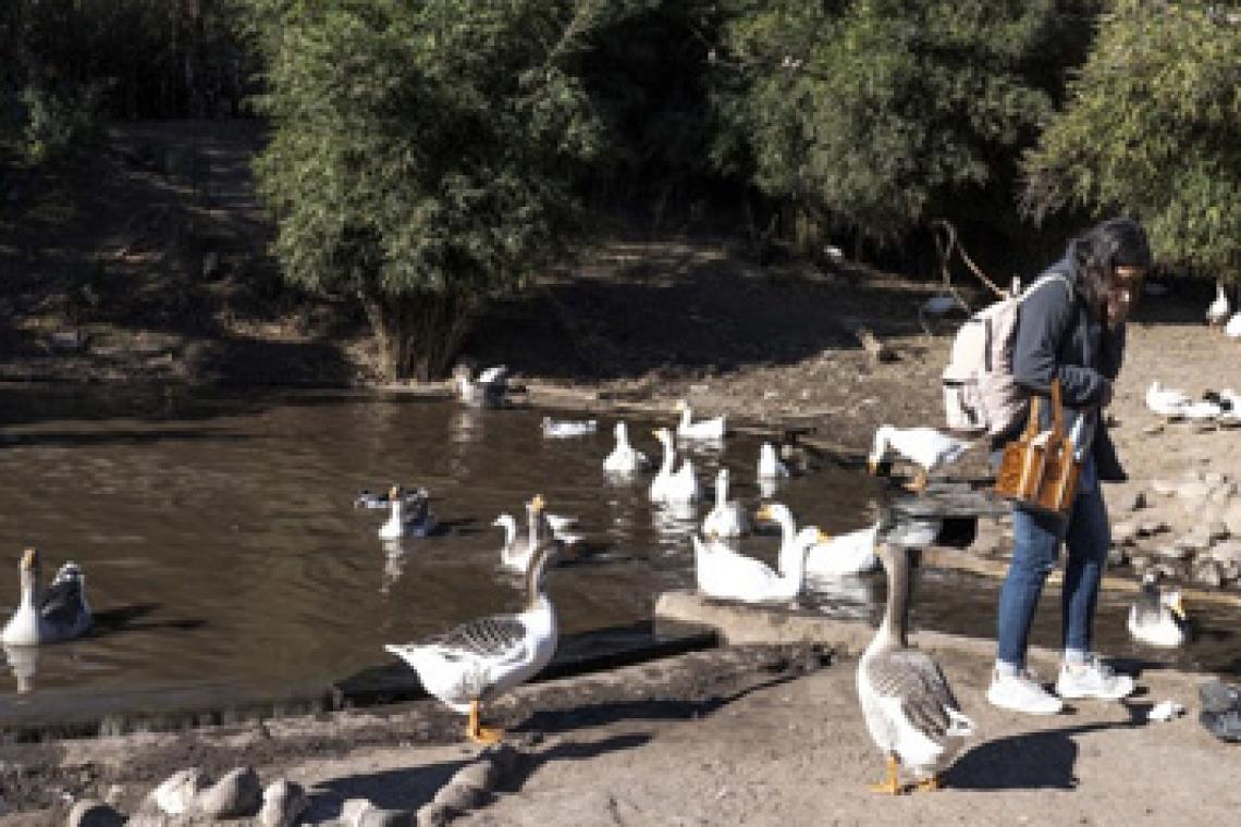 La Granja de la Infancia celebra 25 años de juego y convivencia