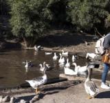 La Granja de la Infancia celebra 25 años de juego y convivencia