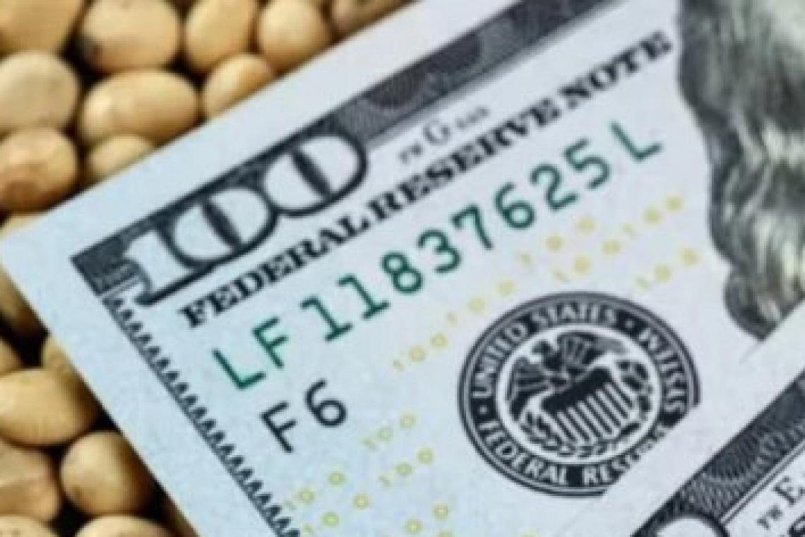Datos de exportadores confirman demora en la liquidación de la cosecha