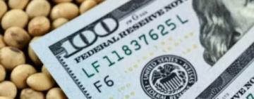 Datos de exportadores confirman demora en la liquidación de la cosecha