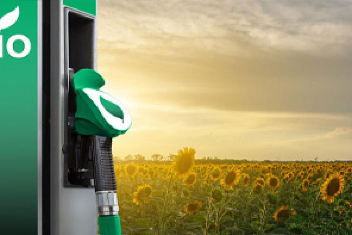 Biocombustibles: con aval de Nación, Santa Fe lidera un nuevo proyecto de Ley para la Argentina