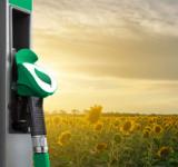 Biocombustibles: con aval de Nación, Santa Fe lidera un nuevo proyecto de Ley para la Argentina