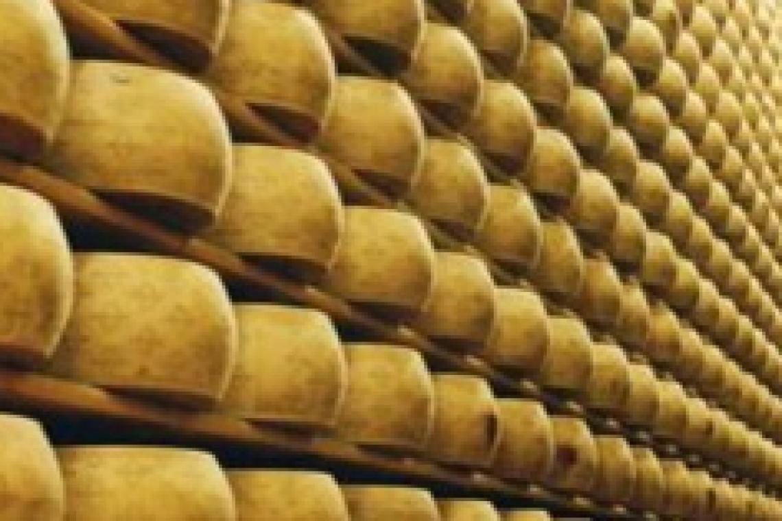 El Gobierno elimina derechos de exportación en productos agroindustriales