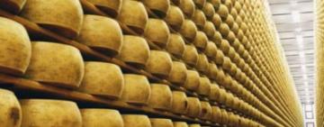 El Gobierno elimina derechos de exportación en productos agroindustriales