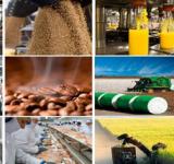 Provincia potencia a las agencias de desarrollo con más de $ 1.000 millones para créditos
