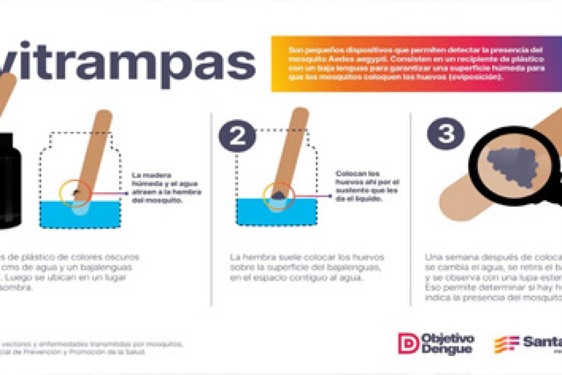 Objetivo Dengue: Provincia coloca trampas para detectar huevos de mosquito y establecer alertas tempranas