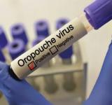 Oropouche: El Virus Emergente que Alarma a América Latina