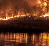 Implementan un plan de acción para combatir los incendios forestales en el Delta del Paraná