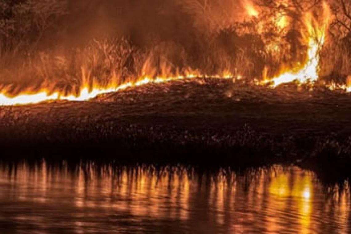 El humo llegó Rosario y hay alerta en 15 provincias