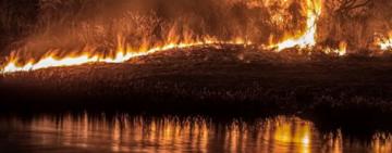 El humo llegó Rosario y hay alerta en 15 provincias