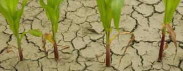 La Niña llega a la Argentina: se esperan fuertes sequías y un clima fuera de lo normal