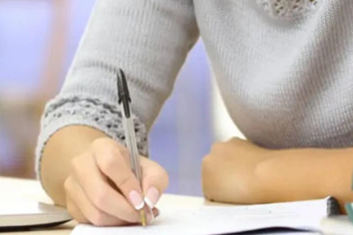 Se tomará un examen de idoneidad a 40 mil empleados de la planta transitoria y contratados