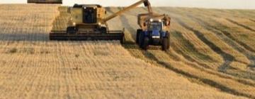 La Niña se "pincha" por el camino y el campo respira aliviado
