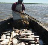 Santa Fe convoca a la Audiencia Pública Anual de Pesca