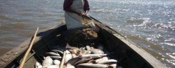 Santa Fe convoca a la Audiencia Pública Anual de Pesca