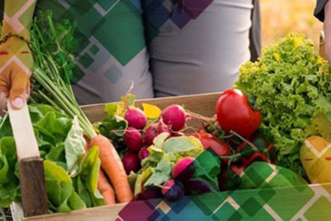 Agroalimentos: el consumidor pagó 3,6 veces más de los que cobró el productor en noviembre