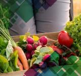 Agroalimentos: el consumidor pagó 3,6 veces más de los que cobró el productor en noviembre