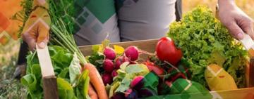 Agroalimentos: el consumidor pagó 3,6 veces más de los que cobró el productor en noviembre