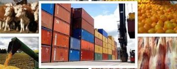 Exportaciones de economías regionales aumentaron 31,9%