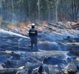Brigadistas santafesinos lograron controlar voraz incendio en Capitán Bermúdez