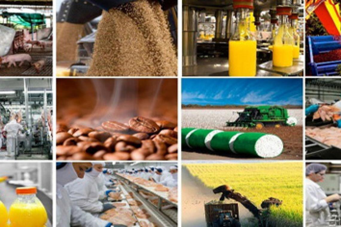 El sector agroindustrial exportó por US$ 9.637 millones en 2024