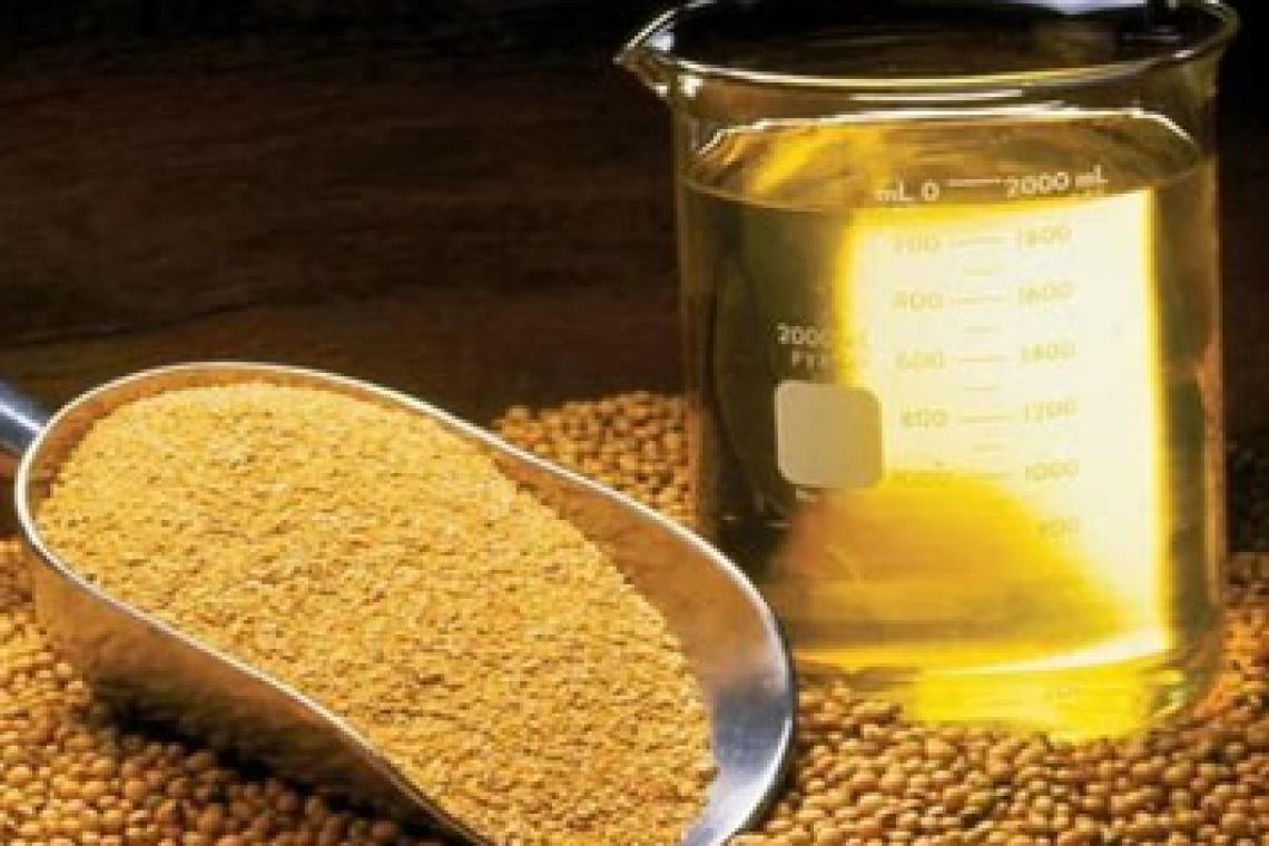 El ingreso de divisas de la agroindustria subió 36%