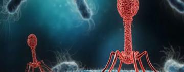 Una inteligencia artificial resuelve en dos días un problema de superbacterias