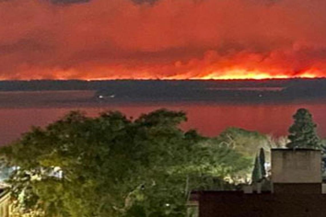 Sobreseyeron acusados de incendiar islas del Delta del Paraná durante la pandemia