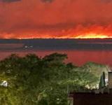Sobreseyeron acusados de incendiar islas del Delta del Paraná durante la pandemia