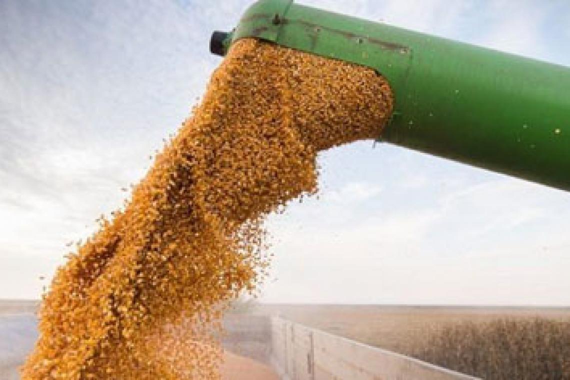 Eliminan el Registro Único de la Cadena Agroindustrial y unifican la información