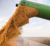 Eliminan el Registro Único de la Cadena Agroindustrial y unifican la información