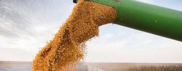 Eliminan el Registro Único de la Cadena Agroindustrial y unifican la información