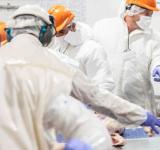 Santa Fe impulsa la industria frigorífica con financiamiento y mejoras logísticas