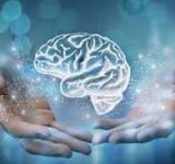 Santa Fe consolida su modelo de salud mental comunitaria con apoyo internacional